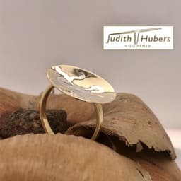 Handgemaakte geelgouden ring opgelegd met zilver mt 17,5