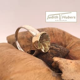 Handgemaakte zilveren ring met ovaal geslepen Fancy Peridot in een geelgouden zetting mt 18,2